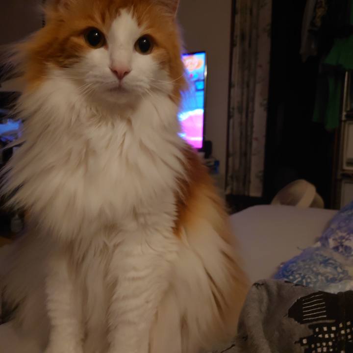 34c08c73 5c82 4176 b903 ac6580648639 1652102087374