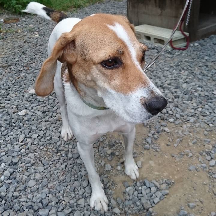 34c0ab77 2ae0 4d0f 9ff9 9c8ae88ab2b9 1568709605020