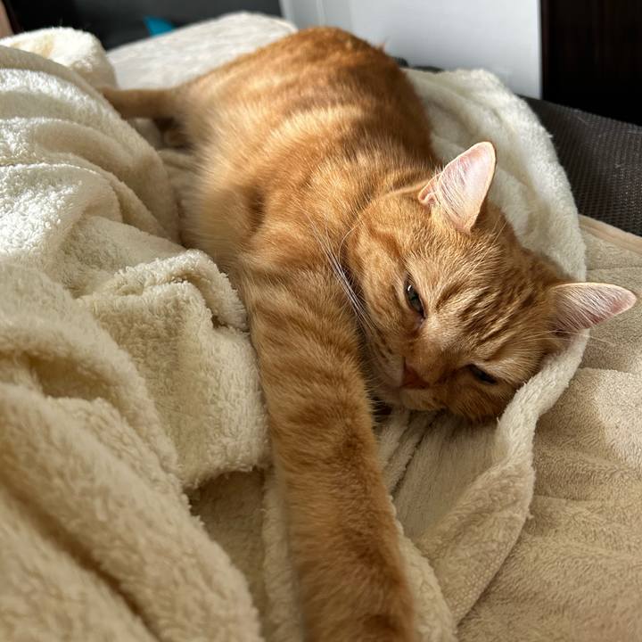 34c0b051 1eba 456a bc5e aa7c9cc0fbc1 1696121428285