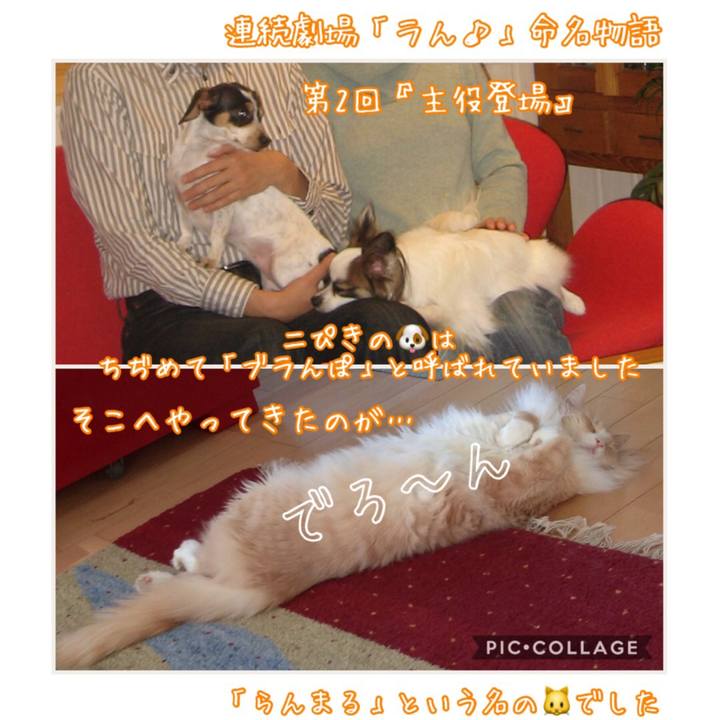 34c0cc30 f7d3 4ed3 852c 16ee40af38b9 1528976649632