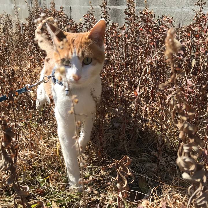 34c0d211 36bb 4c64 8733 3bfb73856388 1519548045803