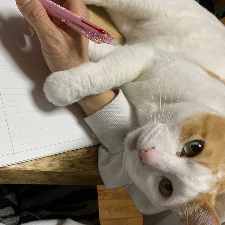 34c0d6b6 1468 43e1 9f84 dc223d9378bc 1584452964032