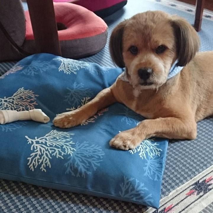 34c0e00a 2a21 4943 9b05 d768ee345a35 1534484760450