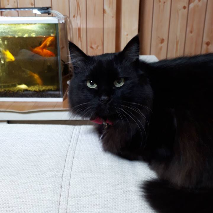 34c11e8d c6fa 402f b771 183c0d4b4433 1518118158013