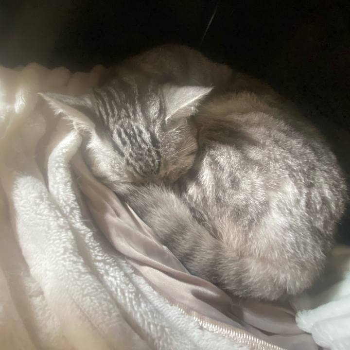 34c123b9 9305 467d 92c5 618f6e21faae 1744249513748