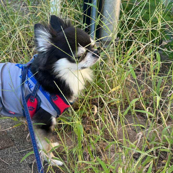 34c13944 d435 4c87 acb4 6e39bbf3cfb9 1726331247578