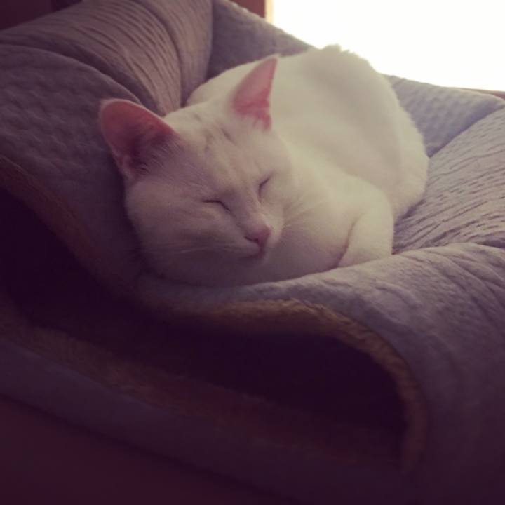 34c156e7 fa92 4d20 be83 e7a205d1cacd 1509808003325