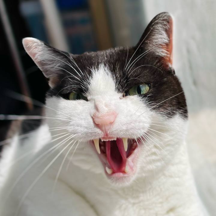 34c161de b1ad 4e17 a028 8c832f705b0c 1653703793391