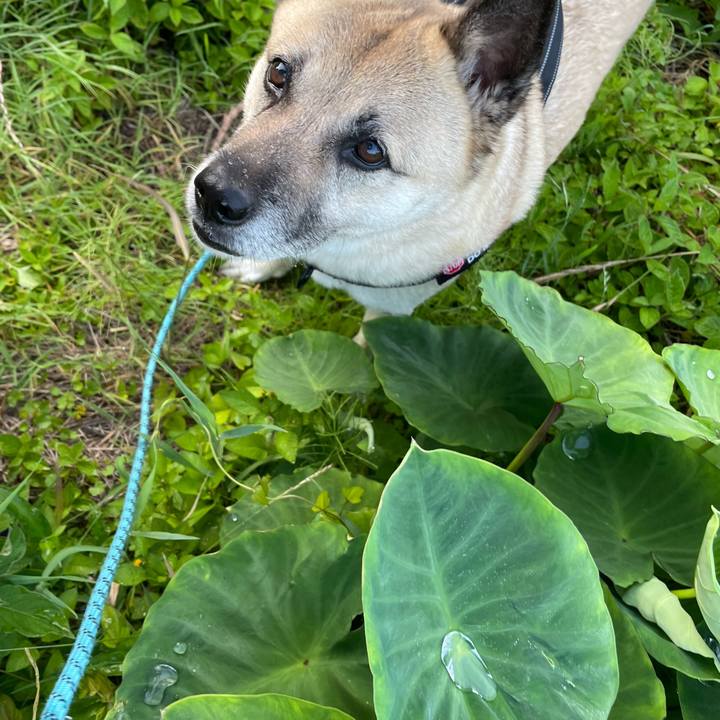 34c19fa9 4433 45e6 8ef9 38539e752eee 1718366580566