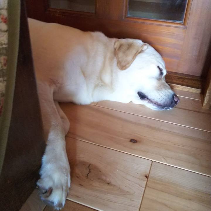 34c1a109 6264 4e87 bc63 e9f1f368a843 1536458378174