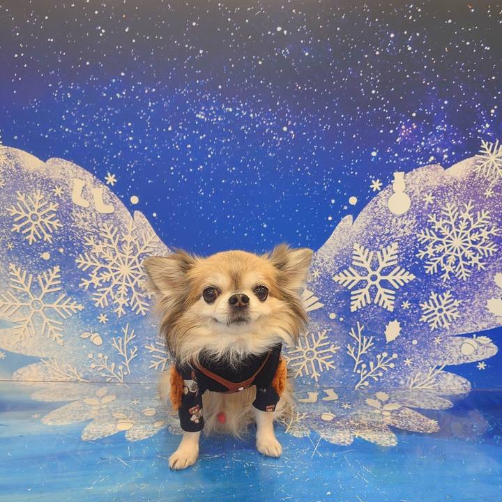 34c1dd09 dfa8 4176 b99f 83890ef8ae7b 1765764656593