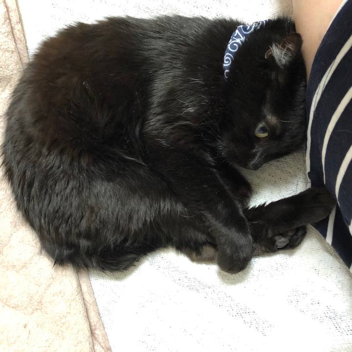 34c21249 eebe 4731 8e3b cd88c3cde4a6 1556278993965