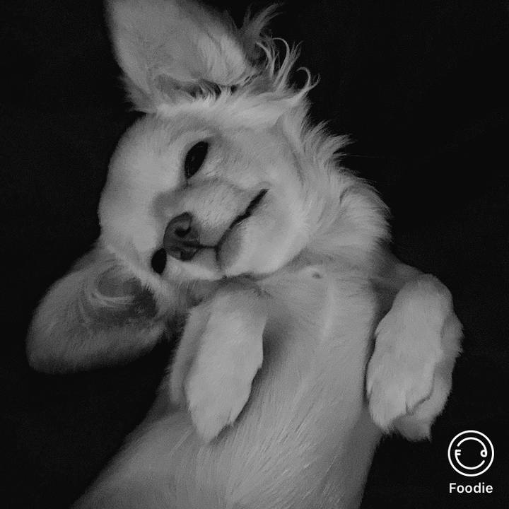 34c2334f 653f 4d2f 8f6a 55c6bd474021 1600721680884