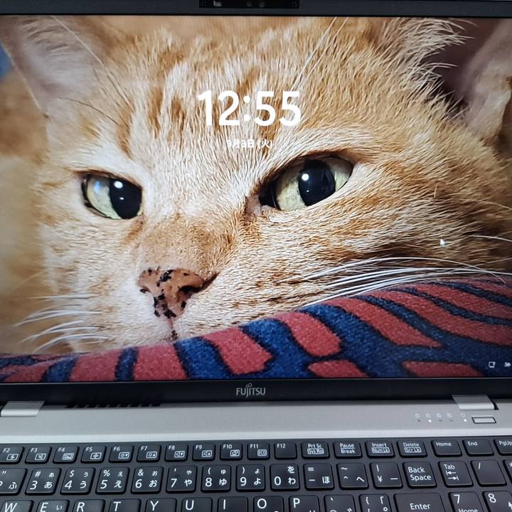 34c277be 927c 4946 91b4 82e2496cd5c3 1725335994757