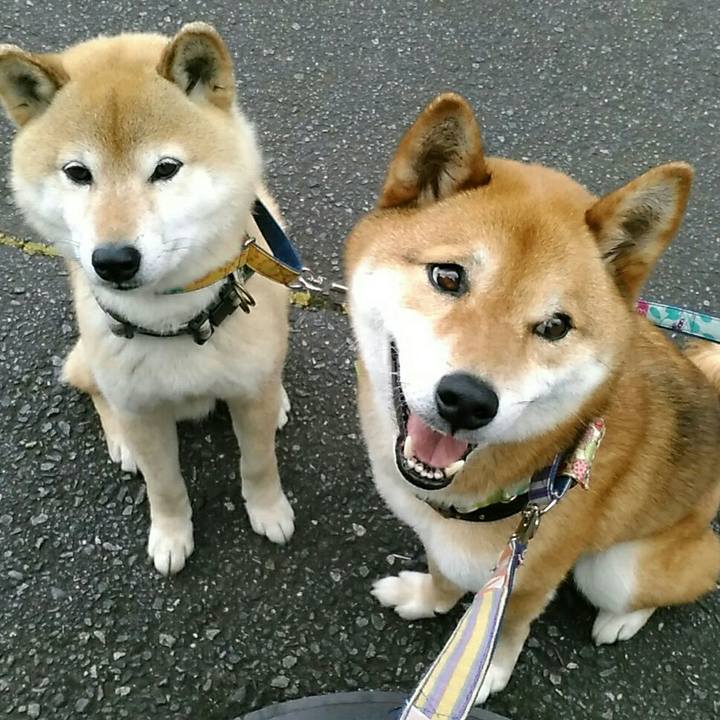 34c2a335 ed1e 4394 a574 88156a62812e 1559116213388