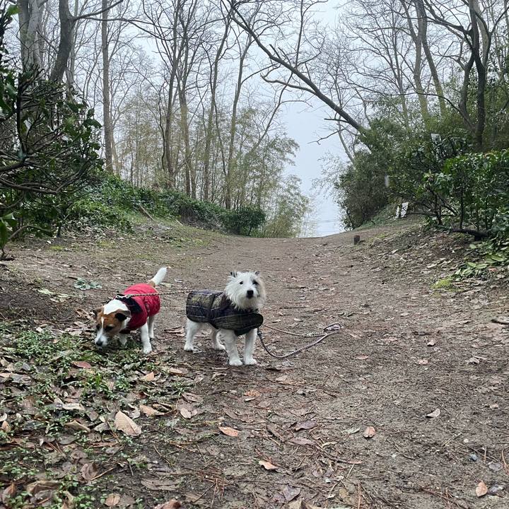 34c2ccbb 6a0a 4a41 bf4c e2d86a845488 1706050780650