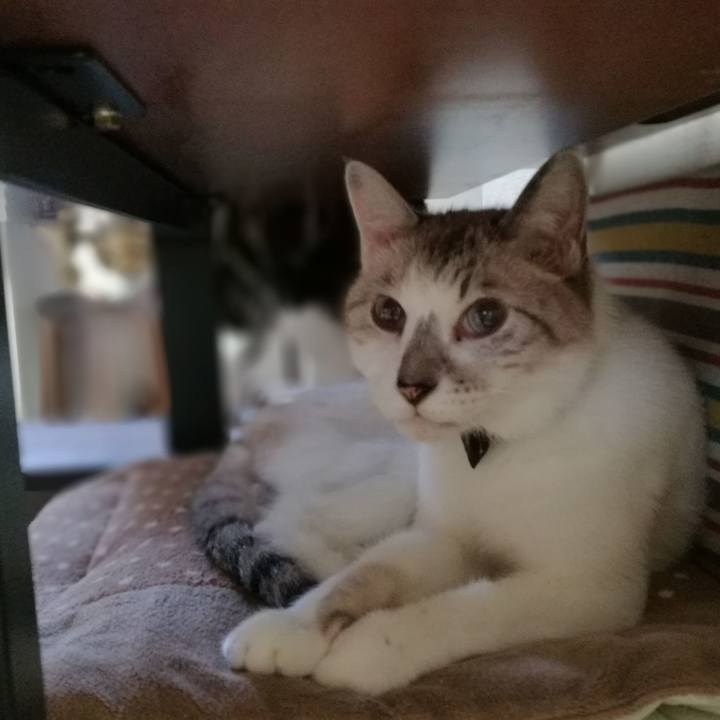 34c2d0a1 1b05 4537 ad6f 7a0dfaba4db2 1539250027295