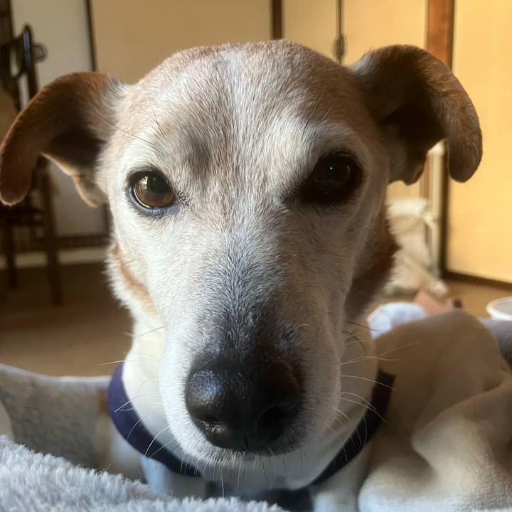 34c33079 87a9 4926 912d 3273615f19ef 1774482790384