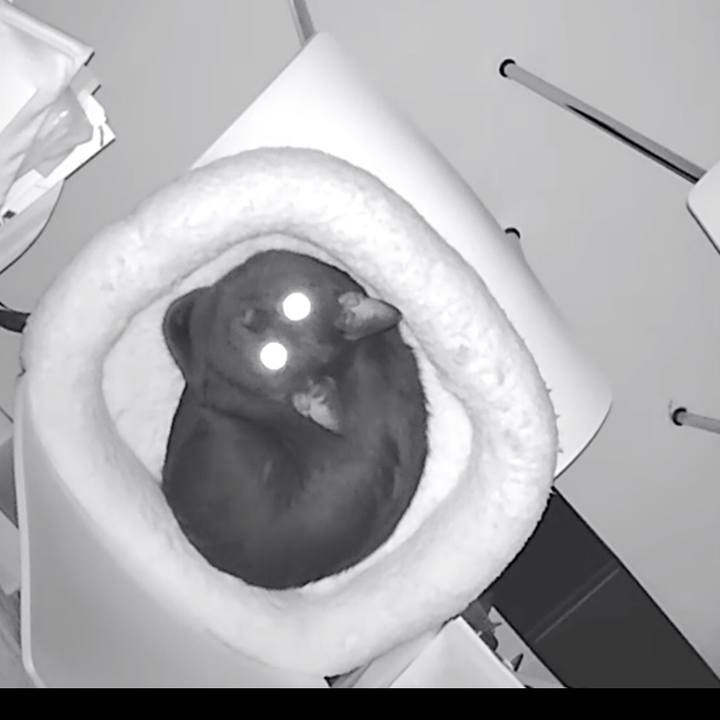 34c332f0 15a2 4c13 be73 666a00cfefeb 1538053202740