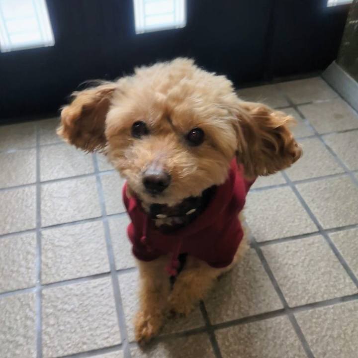 34c36dbc bf32 46cc b02e 054facdb40bf 1768353116969