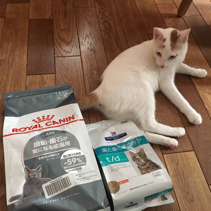 34c38a5e 9e4b 4fd5 bebd 606f66fb7df4 1509771545886