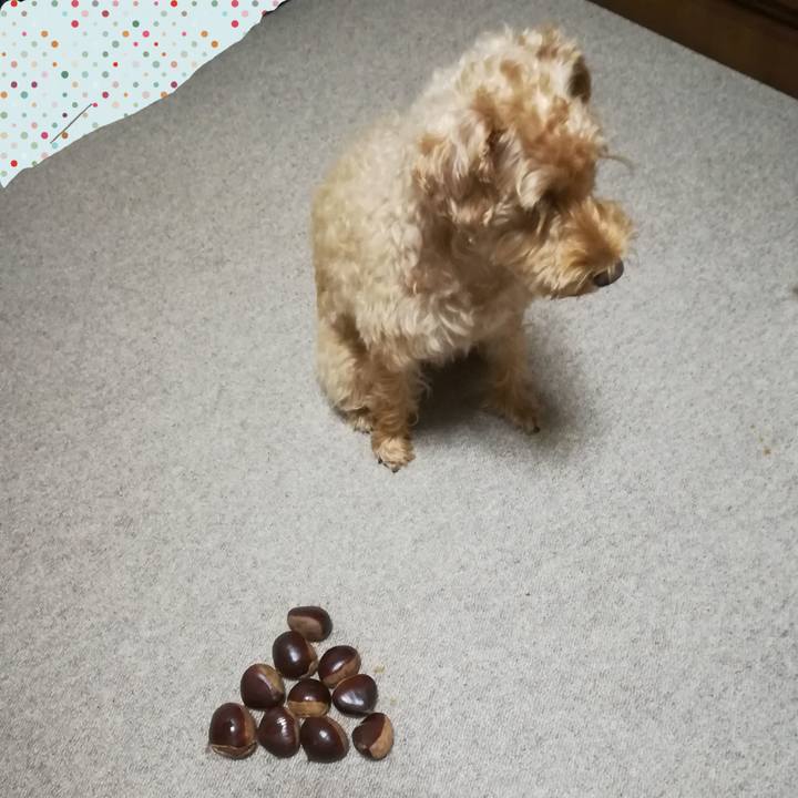 34c38e1b 3a1e 4475 9716 ebdd50eeec4e 1569327104588