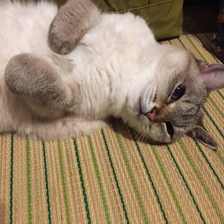 34c39861 a1d7 46ea 8687 dbb1cec240c3 1558961208744