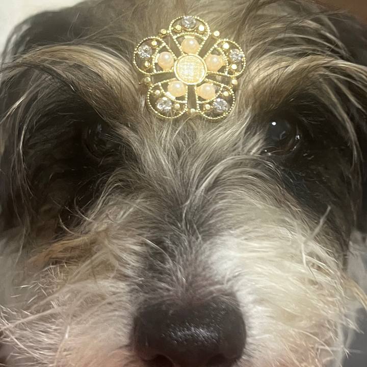 34c39e38 8a5d 4b54 8db3 fd9e1a049951 1772085612302