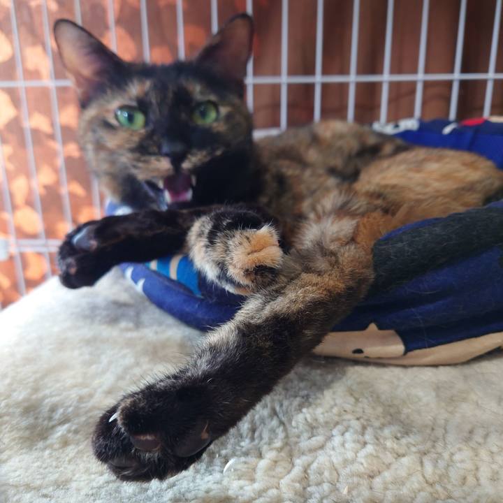 34c3bc3a 5c18 417f 95f8 087fc845fcf2 1752659009737