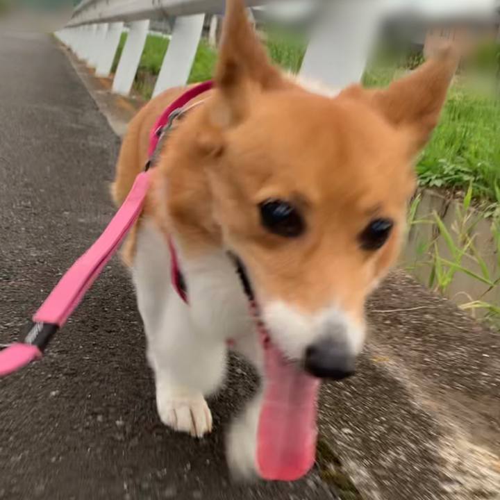 34c3d01b 39d1 450d 95a3 8b2fccc394f4 1689153199156