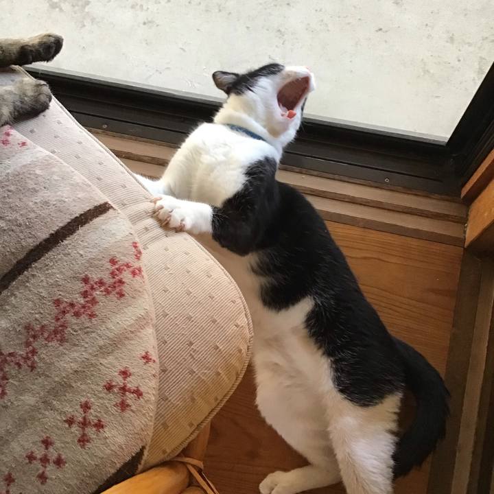 34c4371c 14c4 46c7 9c8a e04284d003d6 1691671801795