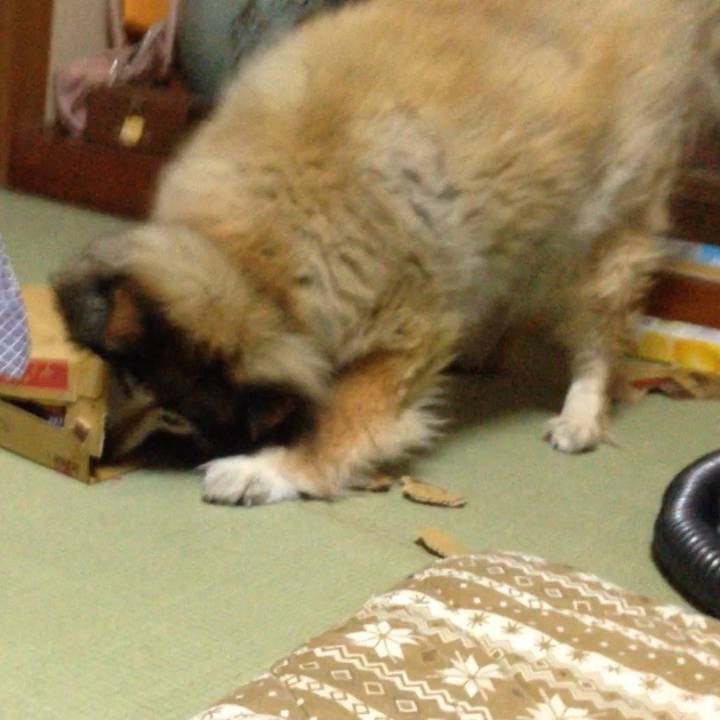 34c47dbf a0cb 4875 88f2 3d8c8e02b1d0 1627884020663