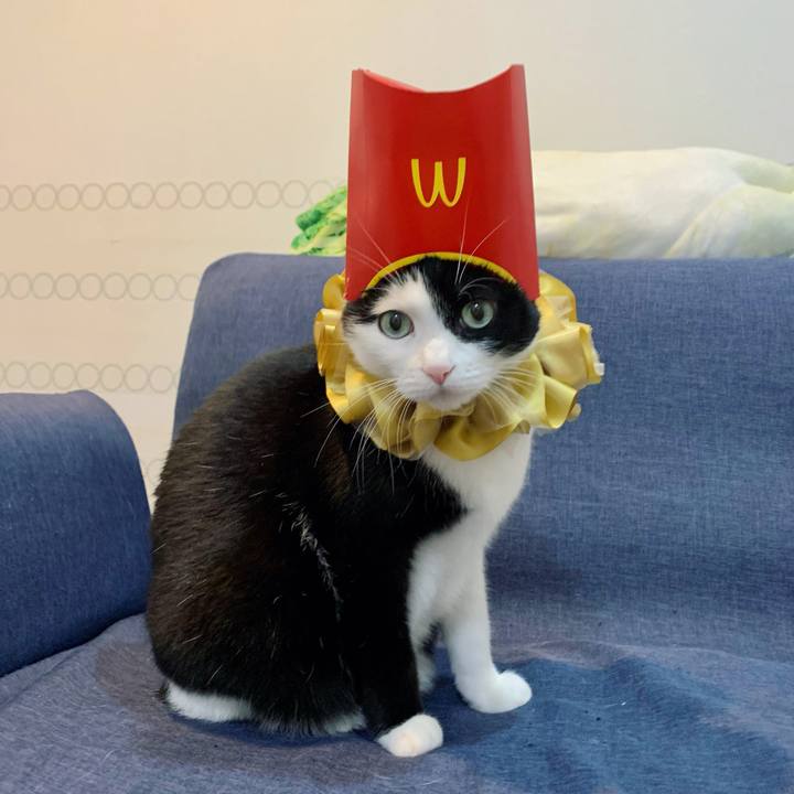 34c4864e 7d8e 488d 8743 0cee6da38236 1640601620207