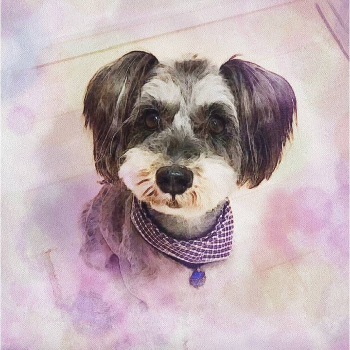 34c491b3 5d98 4a50 a8fb 95f374e54a35 1538092422637