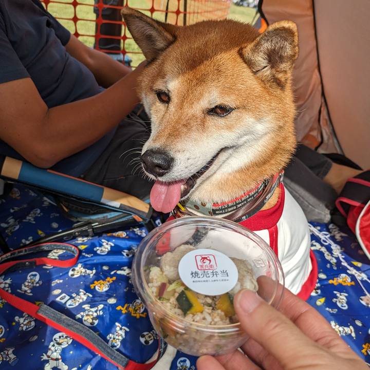 34c4a7f7 2cfb 4890 845b a47cb8bf2bcc 1699582506233