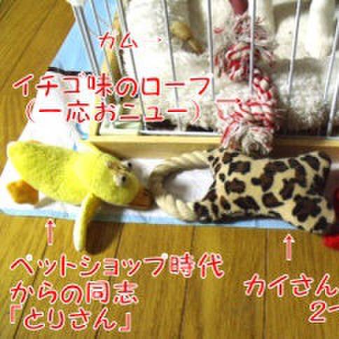 34c4c3b8 3b4f 457a bd62 e4c4f015aaef 1677197198256