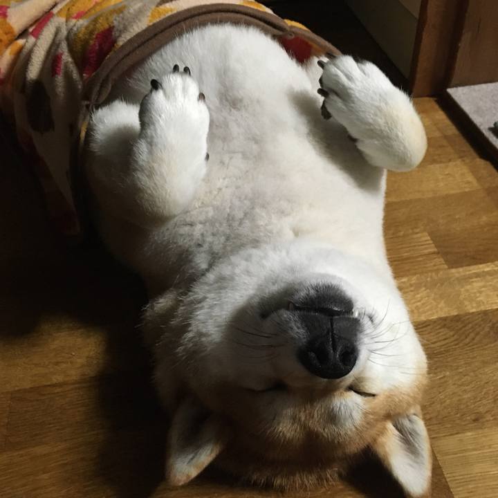 34c4cac9 2deb 4b2f bc35 a72b07062601 1570860130986