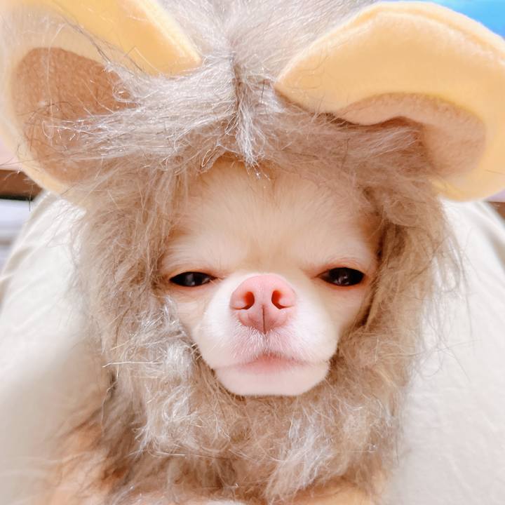 34c54eab 0f13 464f 81fd d779af2842ef 1662532133873