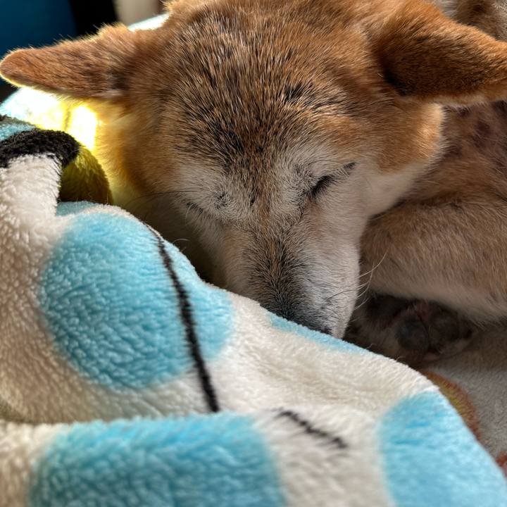 34c57ff0 265c 476c 9be4 82df1ddb2026 1762226606409