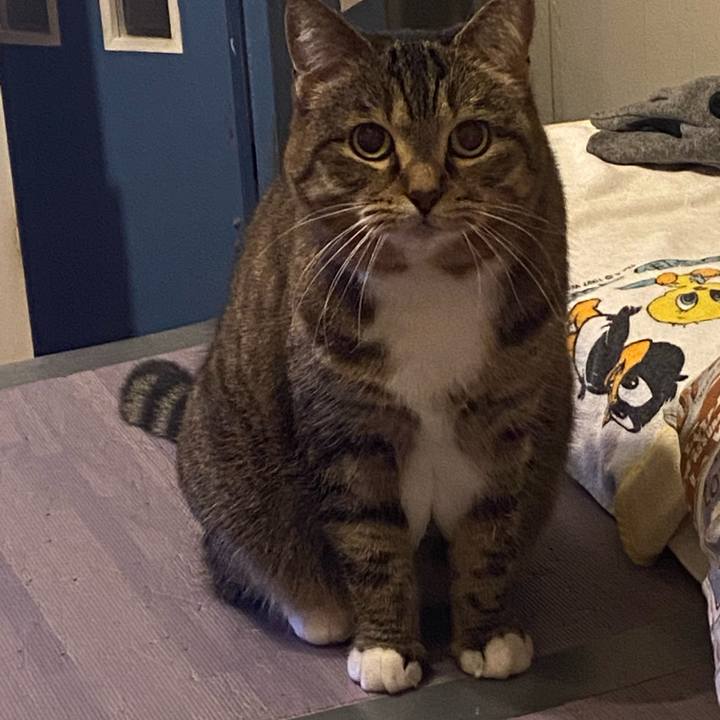 34c58918 b688 4a29 8759 d235ef76689a 1675525307072