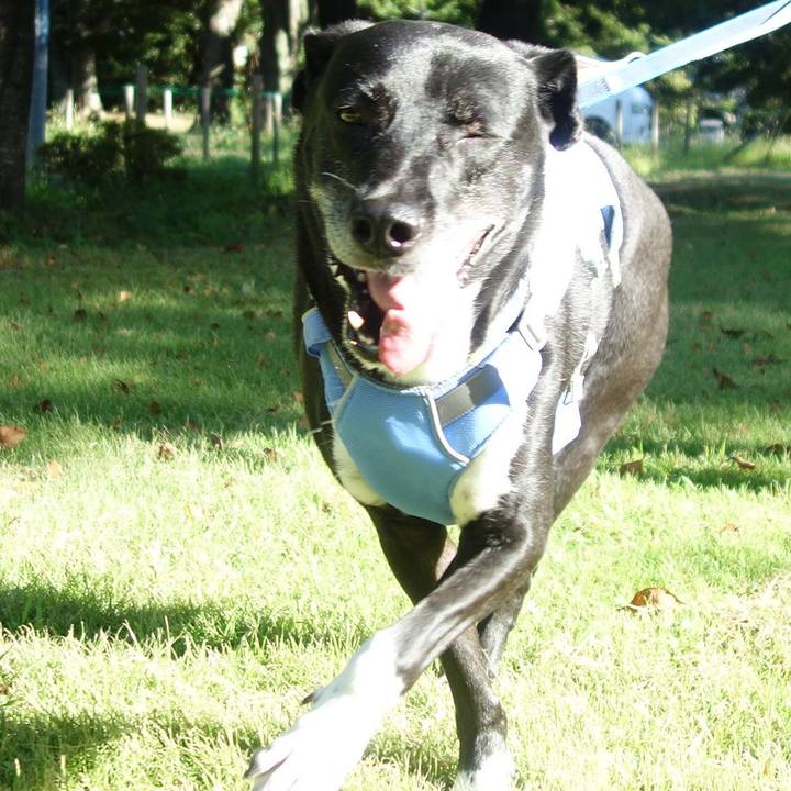 34c58b6c e5b0 4511 8336 8656467f2a0b 1691021149440