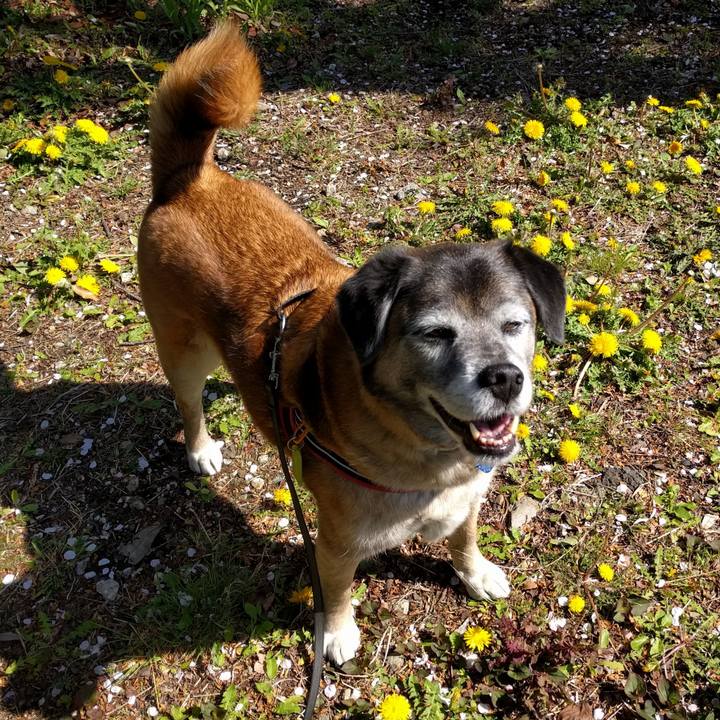 34c58c37 8099 4ad9 9da4 6700a24d1471 1555121427656