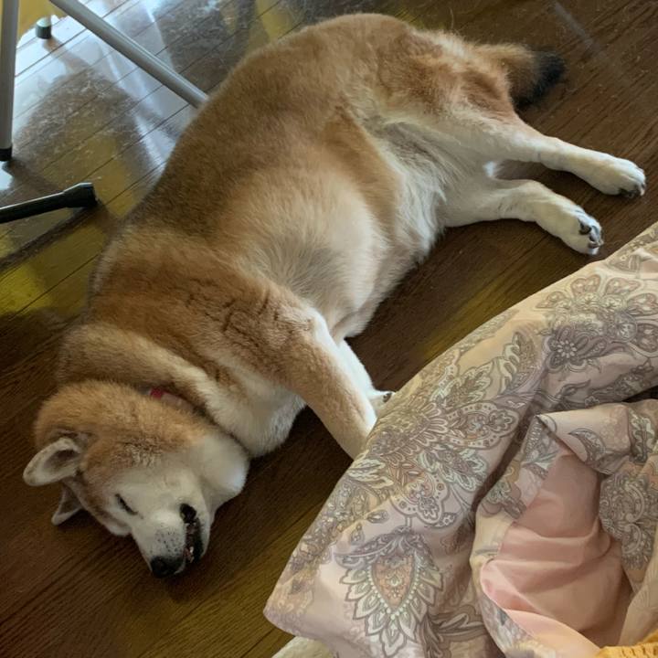 34c5bac9 df86 4d66 8479 757a520c9d25 1627176361965