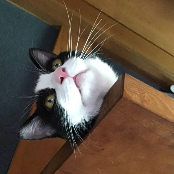 34c603a1 c76c 4e55 9ffa 910638f78e2c 1663037774396