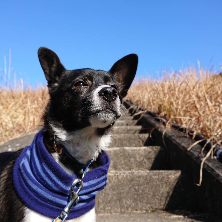 34c60b50 3755 477a a6c6 438a71eae15f 1546829807083