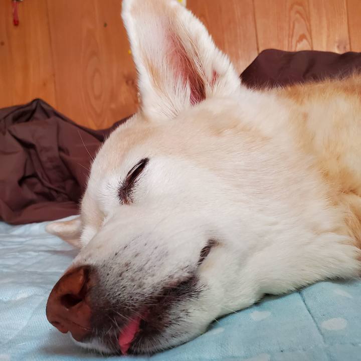 34c6210c b0f2 4a4d 91f0 79fac7dc320a 1679118198063