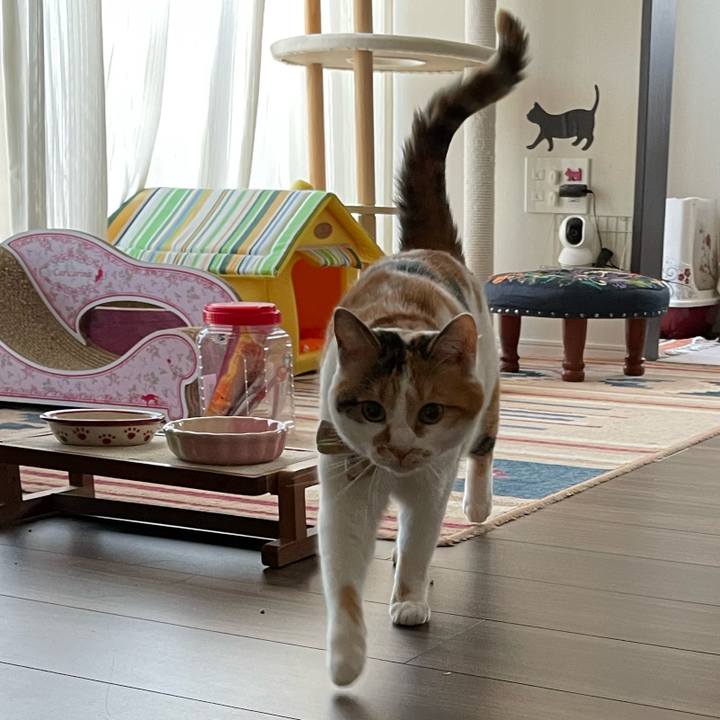 34c63e7a 742e 48b3 a4f3 26e581d6cf97 1649370117867