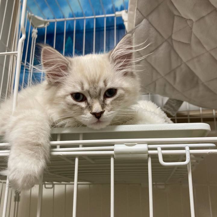 34c64ee9 197d 46c3 af6a ab34a5b1e459 1667738859095