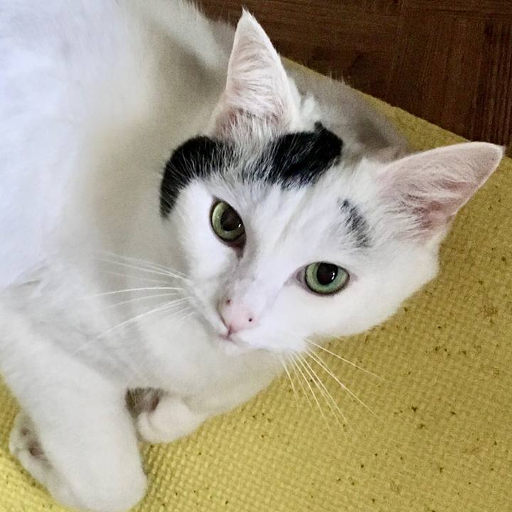 34c65bc8 b3f6 441e a9d6 8a9035922e1e 1571640681373