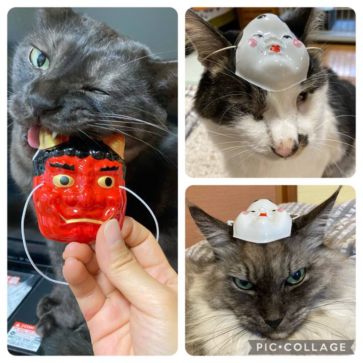 34c683b4 93b5 4800 b46c 60eaafe00e81 1706916025543